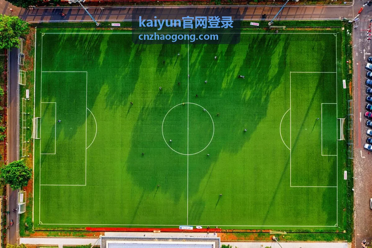 kaiyun官网登录账号安全与验证的密码更新流程示意