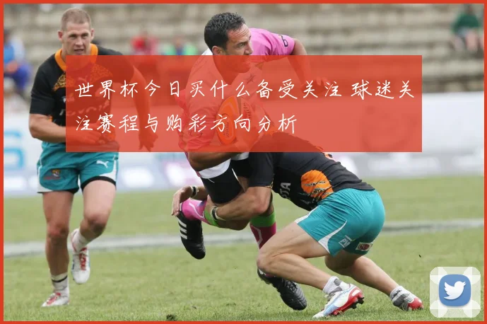 世界杯今日买什么备受关注 球迷关注赛程与购彩方向分析