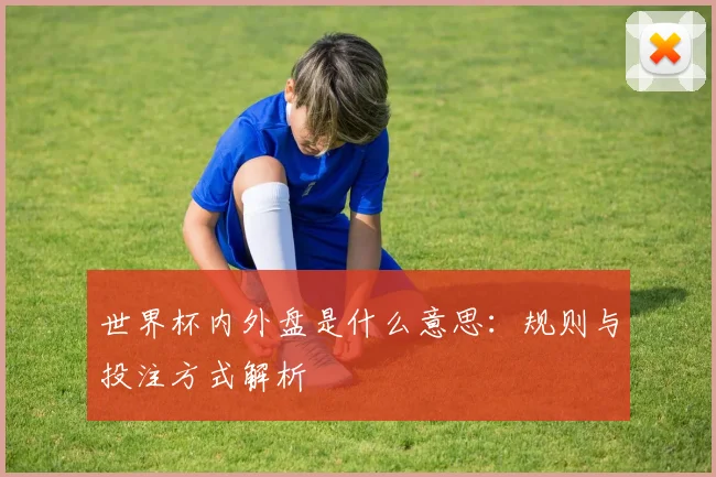 世界杯内外盘是什么意思：规则与投注方式解析