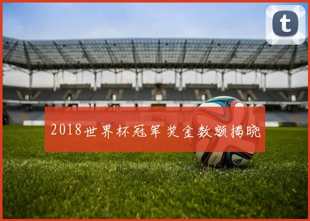 2018世界杯冠军奖金数额揭晓