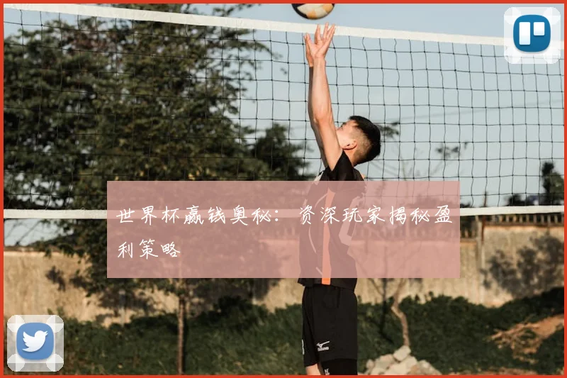 世界杯赢钱奥秘:资深玩家揭秘盈利策略