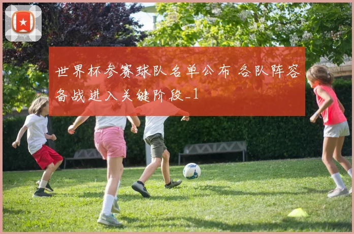 世界杯参赛球队名单公布 各队阵容备战进入关键阶段_1